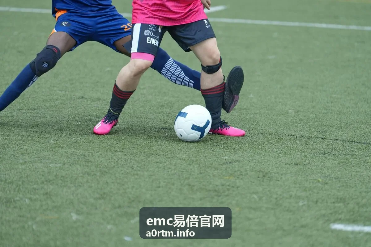 emc易倍官网内容分类与导航模块示意